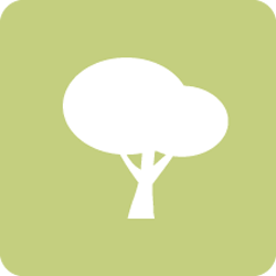 icona_corsi_formazione_ambiente