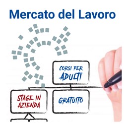 Mercato del Lavoro