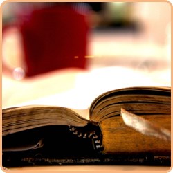 LibroVecchio